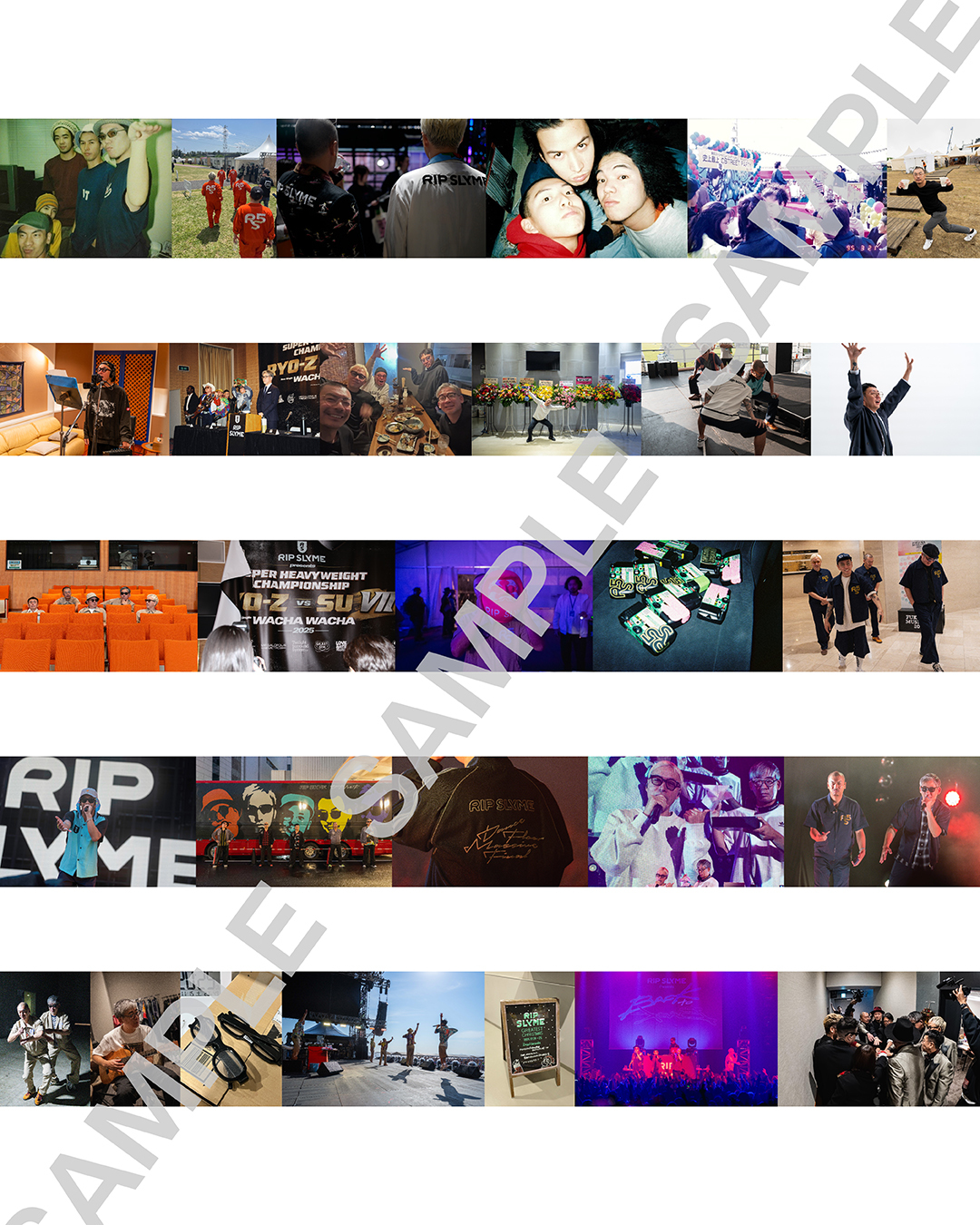 Rip_book_kokuchi_260316